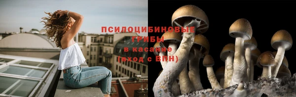 Альфа ПВП Вяземский