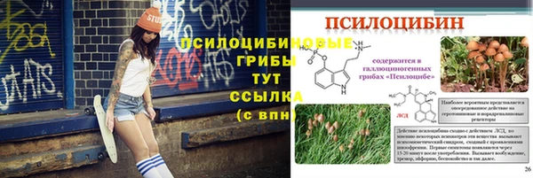 Альфа ПВП Вязьма